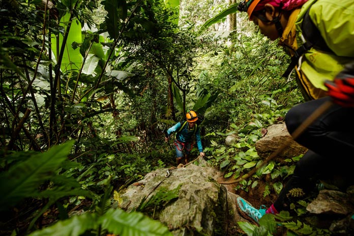 Trekking in the jungles before going in Son Doong