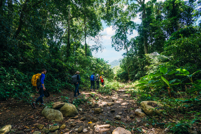 Walk through the jungle in different terrain of Phong Nha - Ke Bang National Park
