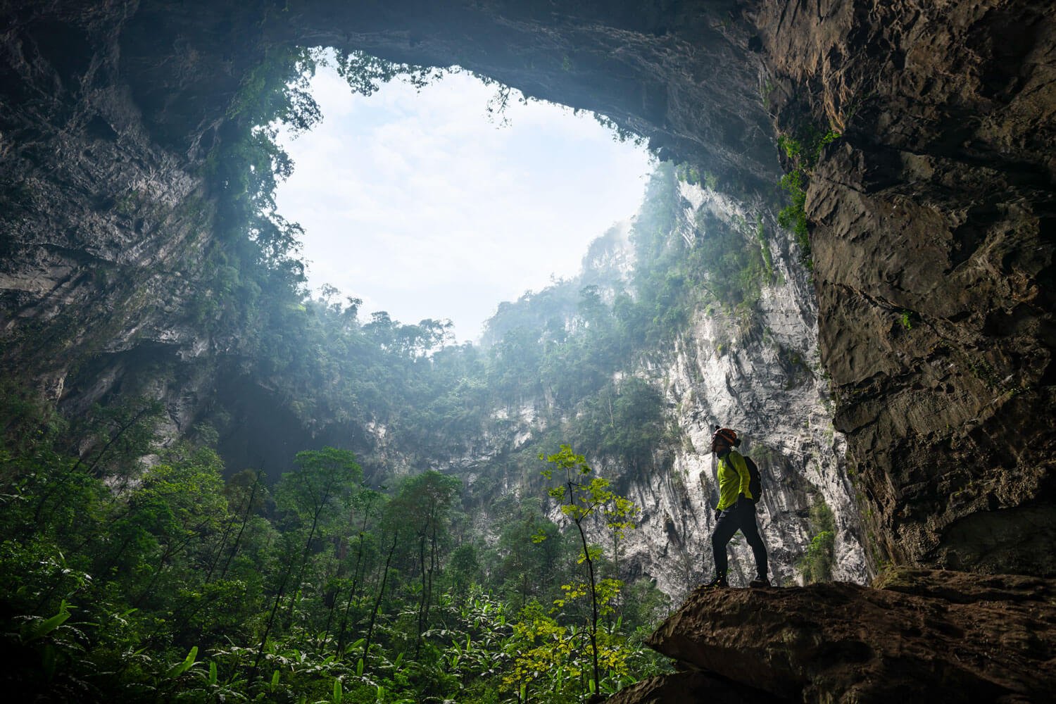 Doline 2 - Garden of Edam a primeval jungle inside the cave