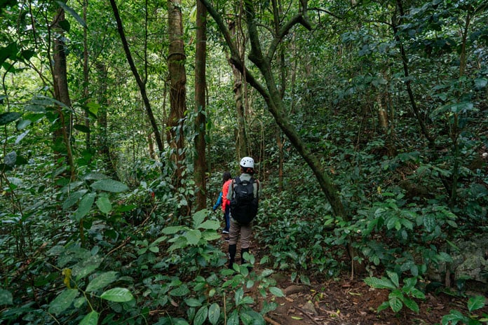A beautiful trek to the thick jungle in Hang Va Expedition 