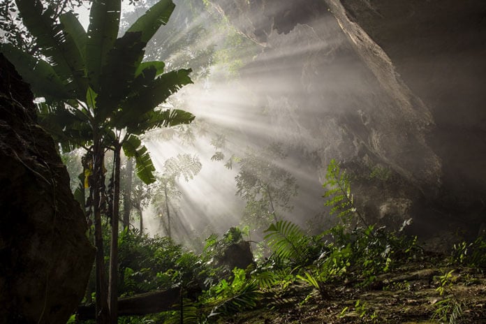 The amount of light is big enough for the vegetation to grow inside the cave