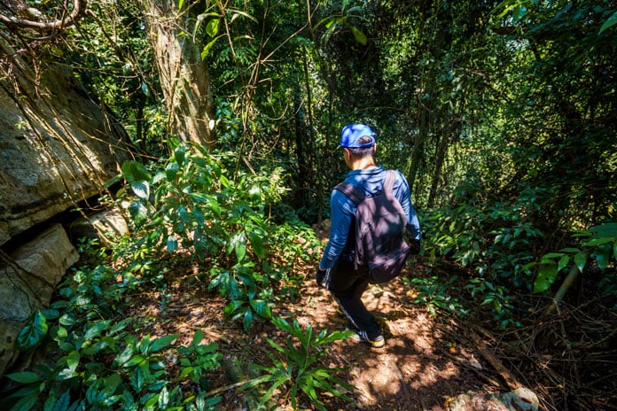 Lộ trình trekking Hang Tiên sẽ bắt đầu bằng việc leo theo đường mòn lên đỉnh đồi và đi xuống những cánh rừng.
