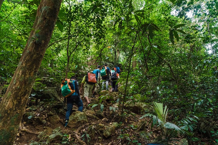 Trekking routes along deep jungles.