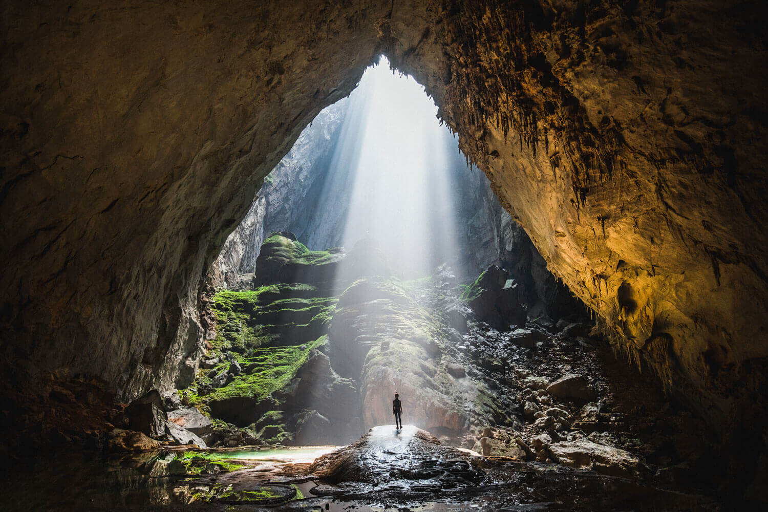 Admire the magical moment when sunlight shines into Son Doong Cave through Doline 1.