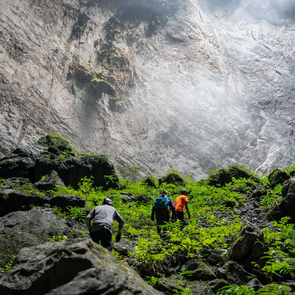 What are the Benefits of Jungle Trekking: Adventure & Wellness