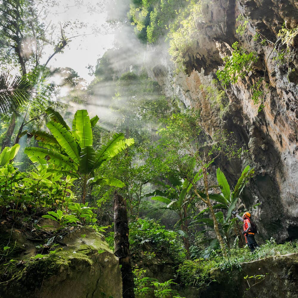 The ecosystem inside Son Doong Cave • Oxalis Adventure