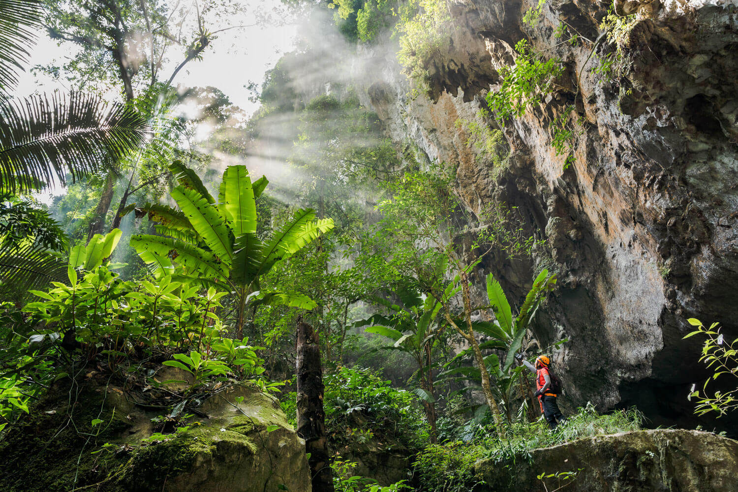 A dense forest is right in front of the Son Doong Cave entrance