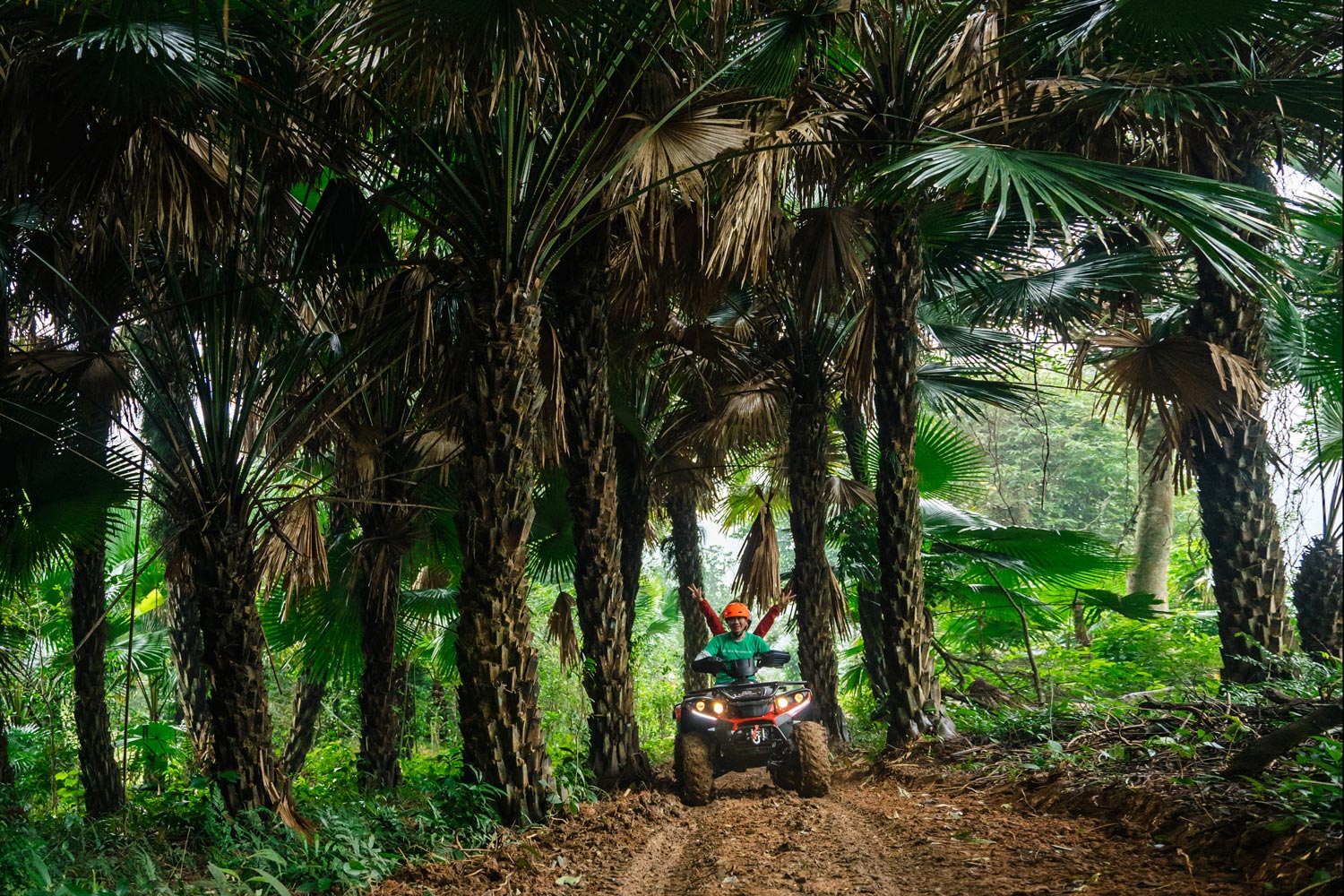 Embark on a thrilling adventure as you navigate through the enchanting Lim forest on powerful ATVs.