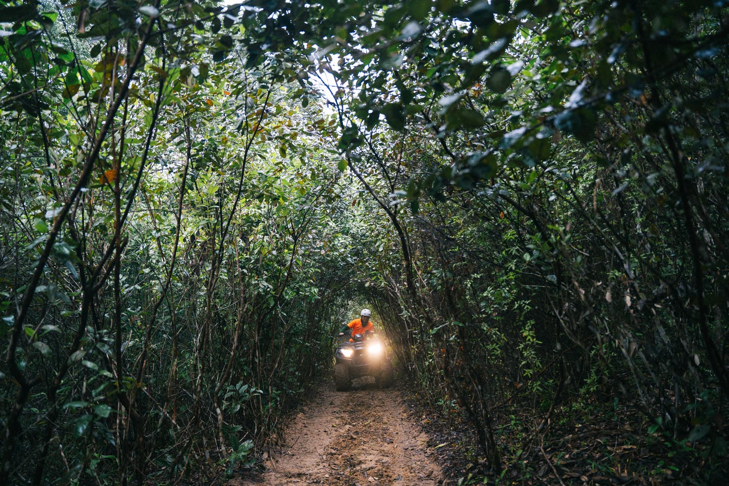 Feel the thrill as you explore Vietnam's rugged terrain on an exhilarating ATV adventure.