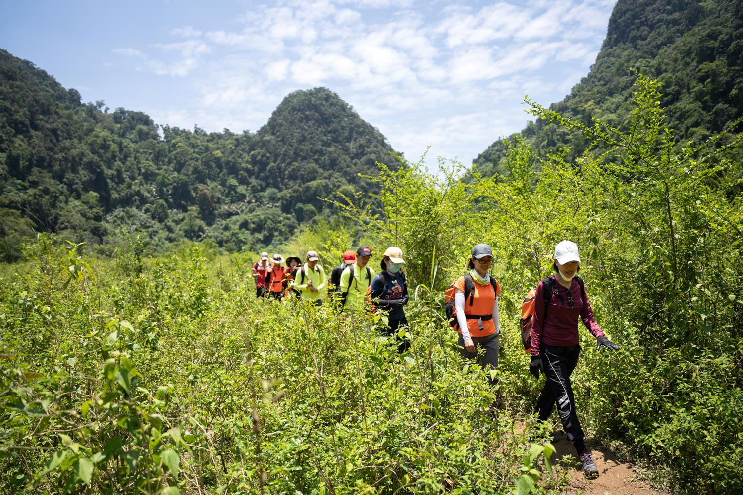 Vietnam offers a variety of hiking tours, ranging from scenic treks in the mountains to jungle adventures in national parks.