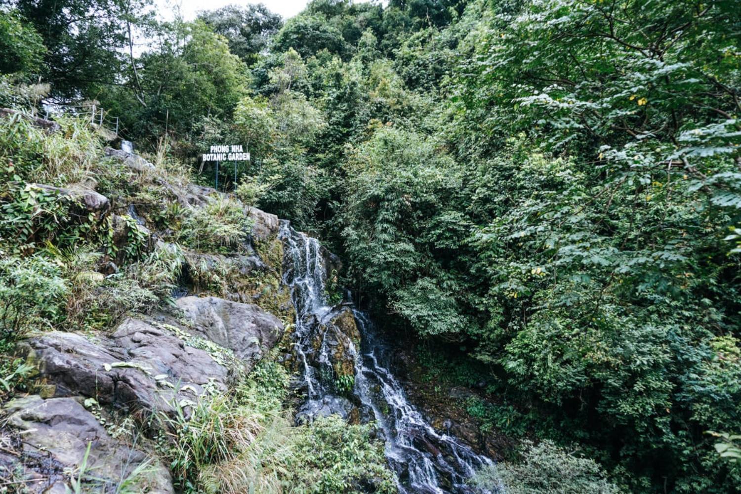 Phong Nha Botanic Garden – Explore Quang Binh’s Fascinating Ecosystem