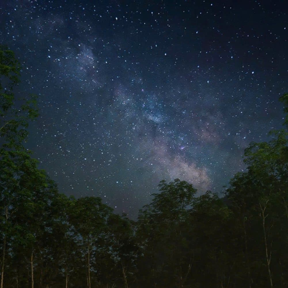 オルゴナイト☆ Milky Milky Way Core Shining Bright in a Wide Panorama from the Southern