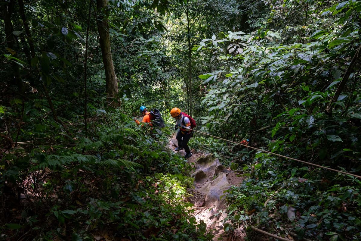 Travellers trek up the forest slope to reach the entrance of Hang Son Doong