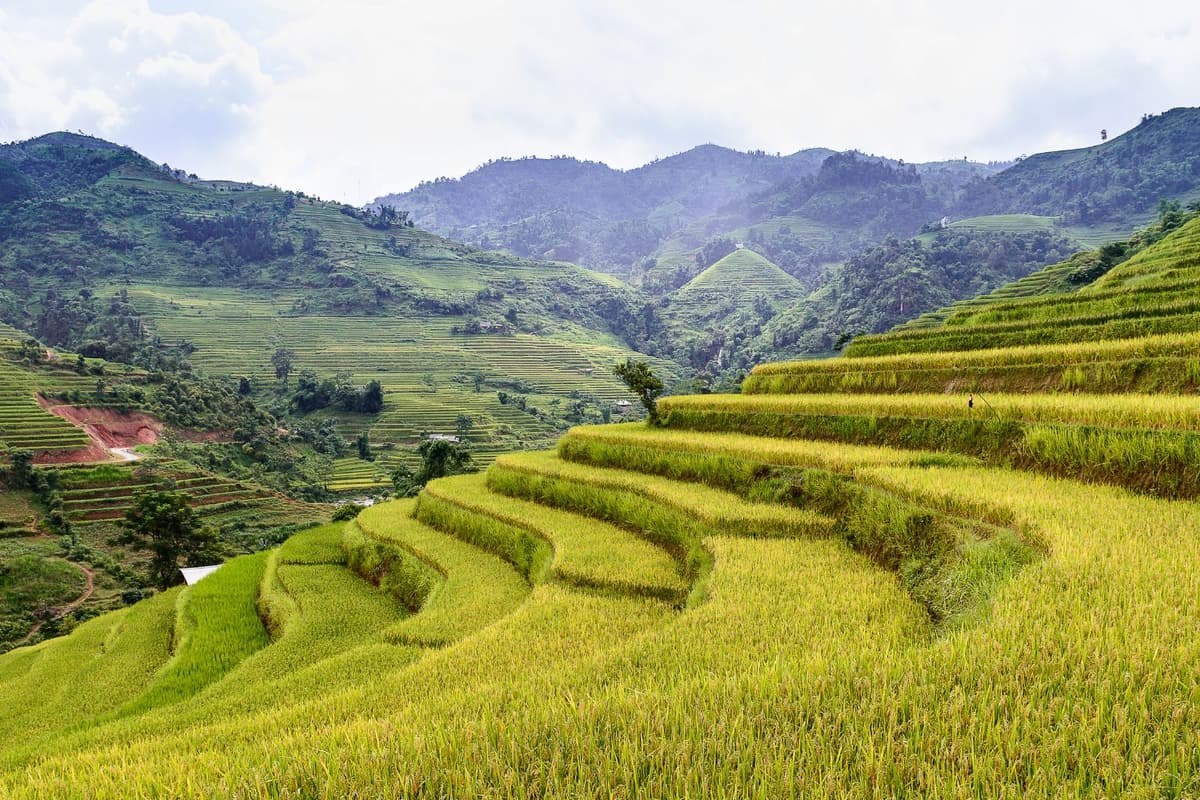 Tuyen Quang Travel Guide: Discover the New Home of the Ha Giang Loop
