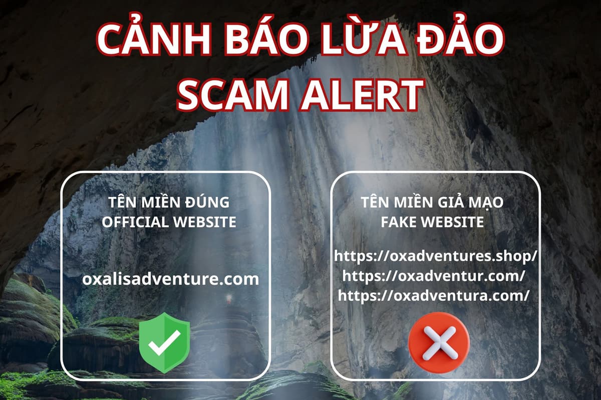 Notice About Fake Websites Using the Oxalis Name and Copying Our Website Content